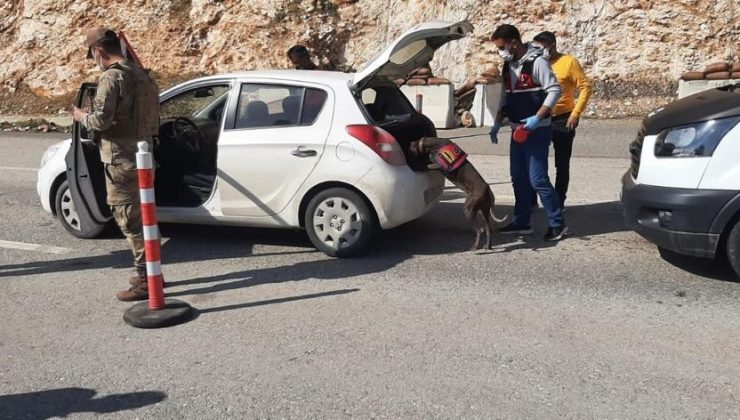 Jandarma 6 ayda 1 milyondan fazla kişiyi sorguladı