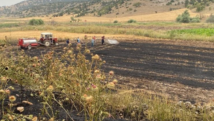 Jandarma ve köylüler yangını 500 dekarlık buğday ekili alana sıçramadan söndürdü
