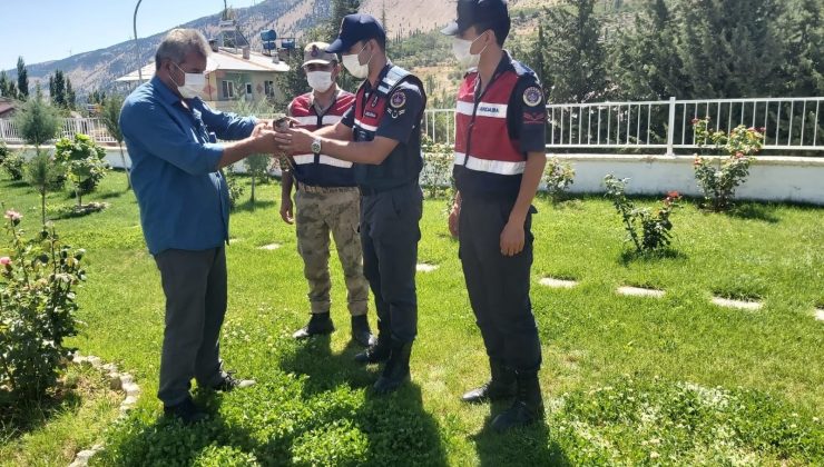 Jandarmanın bulduğu yaralı atmaca tedavi altına alındı