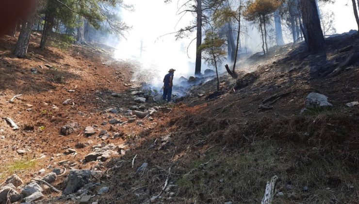 Kadın erkek eline küreği alan yangın bölgesine koştu