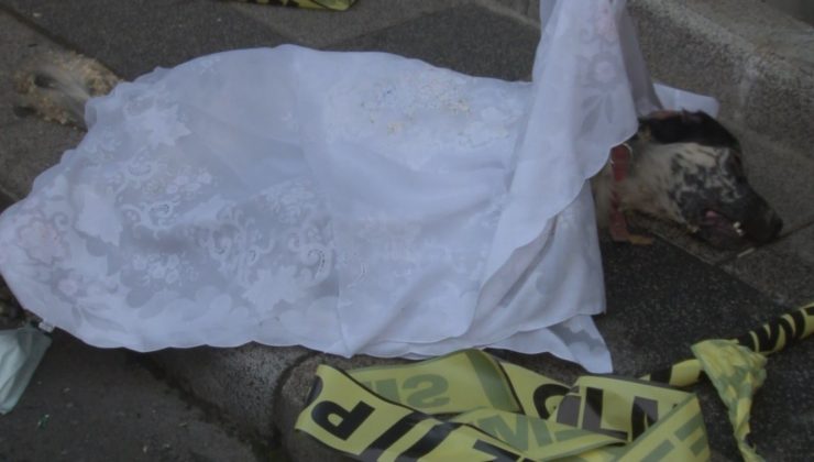 Kağıthane’de mobilya atölyesinde yangın: Mahsur kalan köpek telef oldu