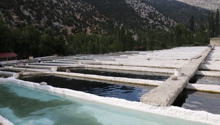 Kahramanmaraş’ta üretilen alabalık, 50’den fazla ülkeye ihraç ediliyor