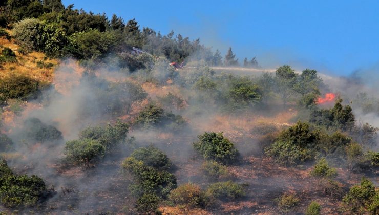 Kahramanmaraş’taki orman yangınları büyümeden söndürüldü