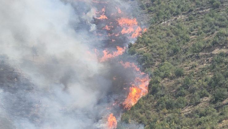 Karabük’te aynı alanda 2 orman yangını çıktı