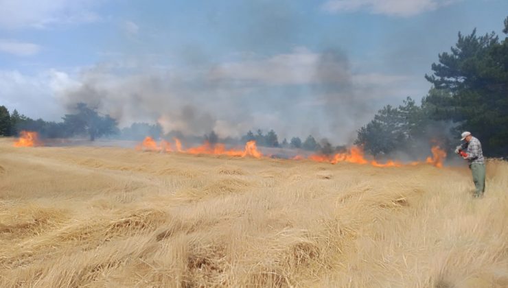 Karabük’te ekin tarlasında yangın