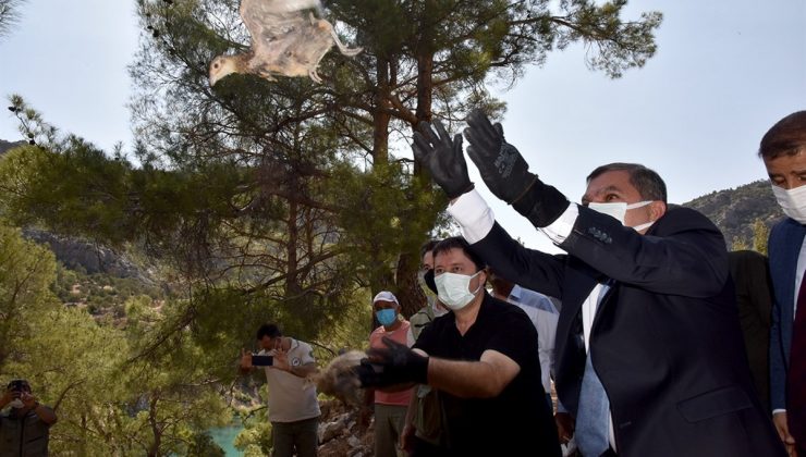 Karaman’da 840 sülün doğaya bırakıldı