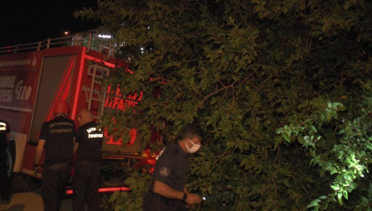 Kartal’da çürük dut ağacı park halindeki aracın üzerine devrildi