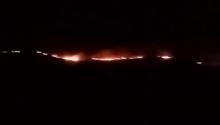 Kayseri’de makilik alanda yangın