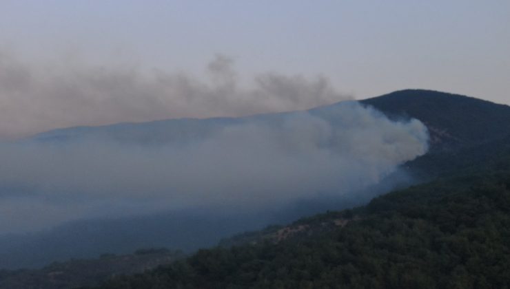 Kazdağları’nda çalışmalar devam ediyor