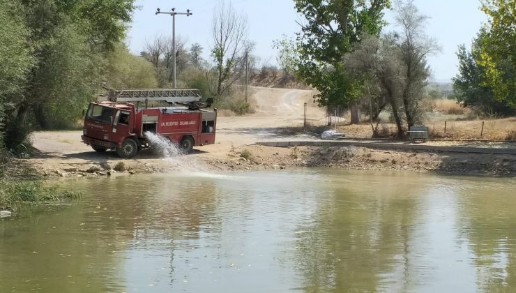 Kınalı koçlar için 200 tanker su taşıdılar