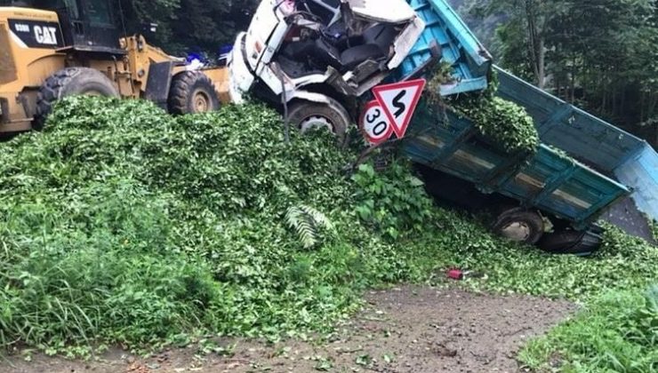 Kontrolden çıkan çay yüklü kamyon tarım arazisine girdi: 2 yaralı