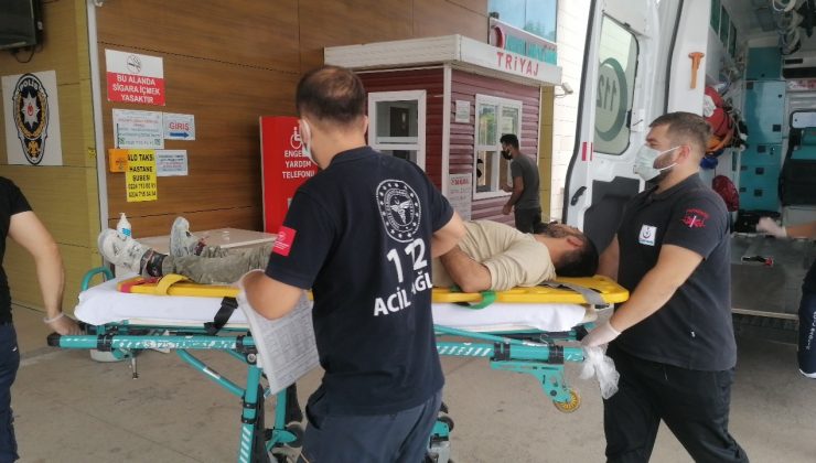 Kontrolden çıkan kamyonet ağaca çarptı; sürücü yaralandı