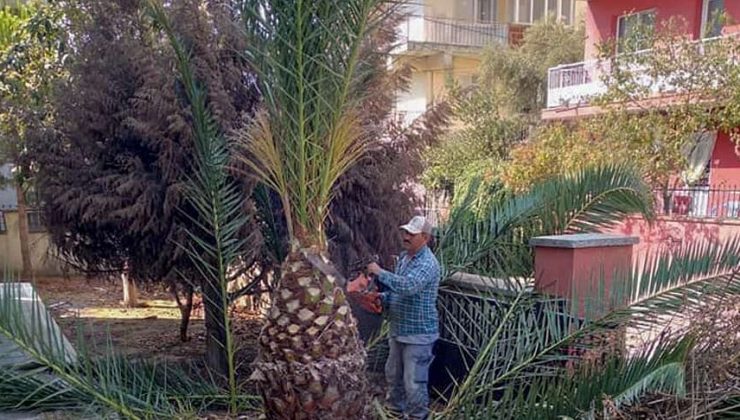 Köşk Belediyesi okulları yüz yüze eğitime hazırlıyor