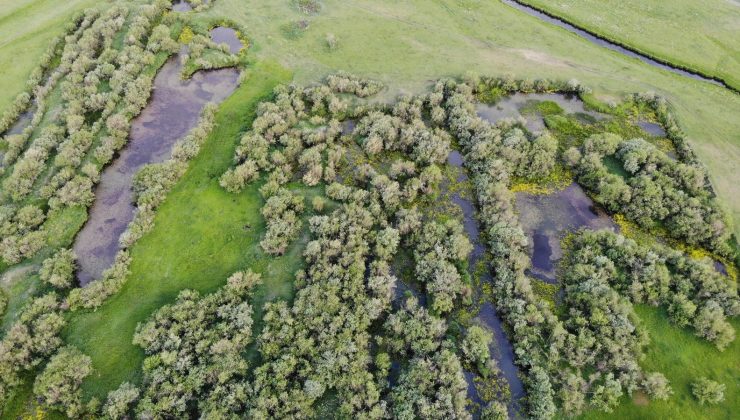 Kura Nehri’nin oluşturduğu menderesler kartpostallık görüntüler oluşturuyor