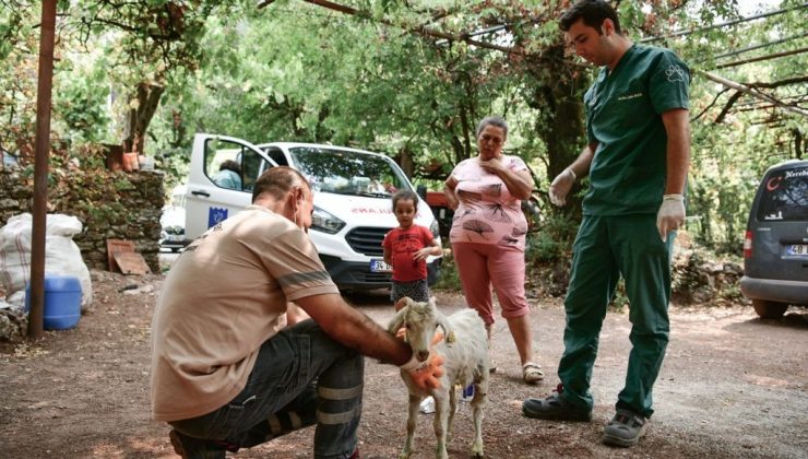 Kuşadası yangın bölgeleri için seferber oldu