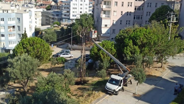 Kuşadası’nda çıkan yangın söndürüldü