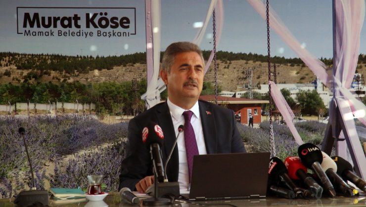 Lavanta bahçesi Ankaralıların beğenisine sunuldu