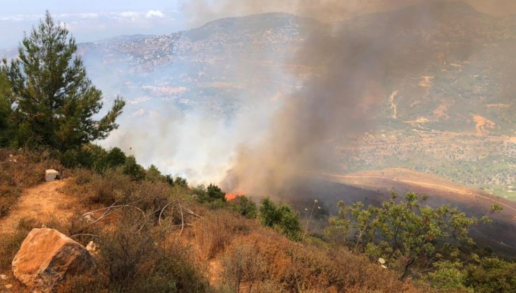 Lübnan’da ormanlık alanda yangın