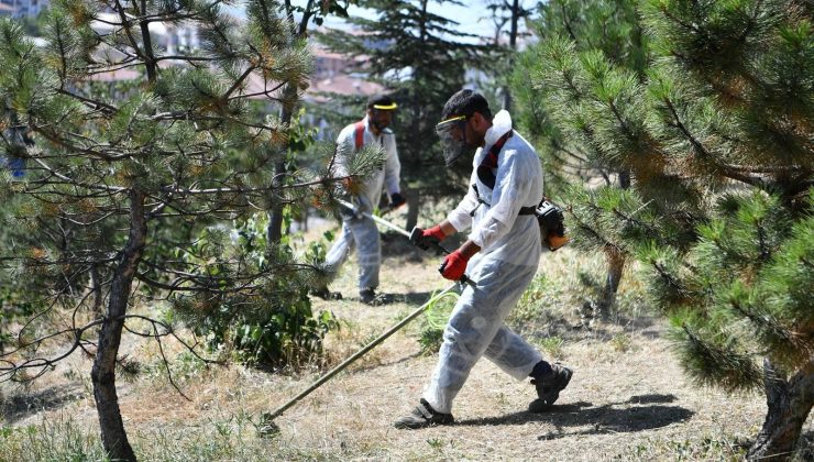 Mamak’ta yabani ot temizliği