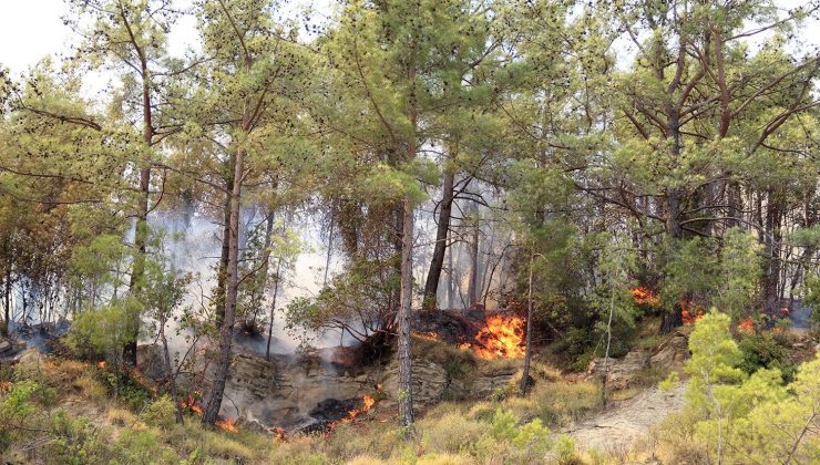 Vatandaşlar canla başla çalışıyor