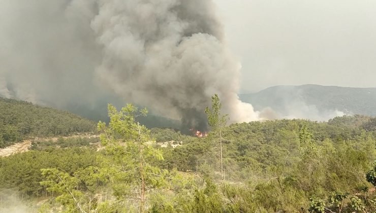 Manavgat’ta alevlerle mücadele sürüyor: Dumanlar gökyüzünü kapladı