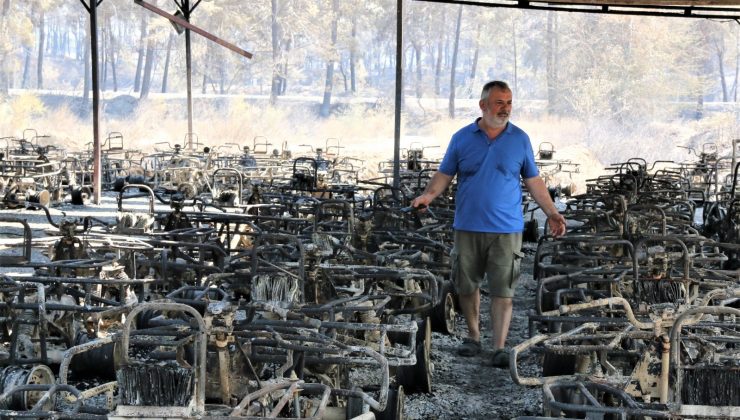 Manavgat’ta safari tesisi küle döndü