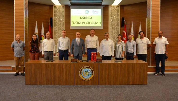 Manisa ’Sultani Çekirdeksiz Üzümü’ne sahip çıkıyor