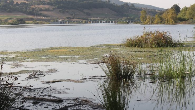 Manyas’ta 100 bin dekar tarım arazisi sulanıyor