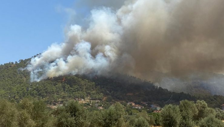 Marmaris yangını tekrar parladı