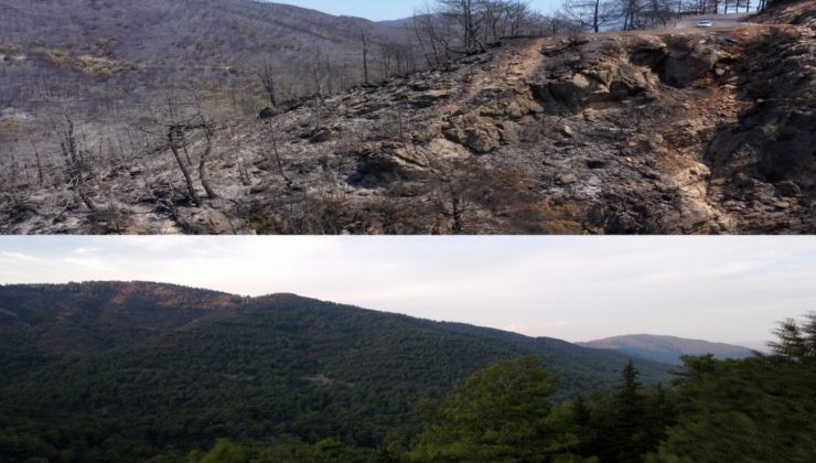 Marmaris’in yangın öncesi ve sonrası havadan görüntüleri