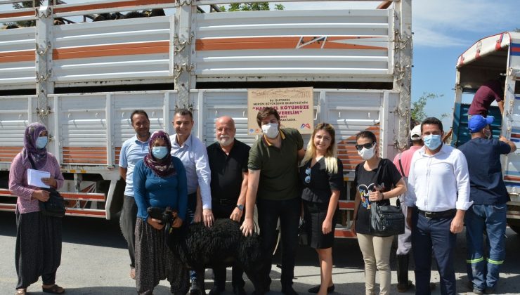 Mersin’de ’Hadi gel köyümüze destek verelim’ projesi sürüyor