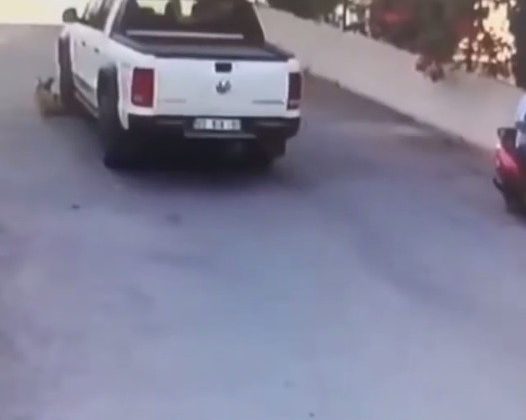 Mersin’de tepki çeken görüntü