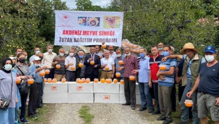 Meyve üreticilerine destek
