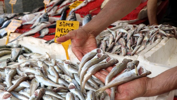 Mezgit ve barbun tezgaha gelince balığa rağbet arttı