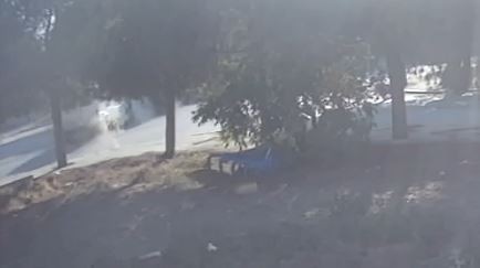 Midibüsün traktörü devirdiği kaza kamerada