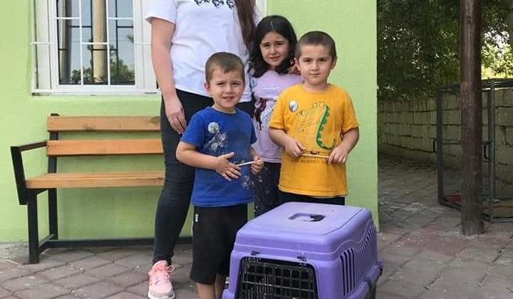 Minik doğa severlerin bulduğu kirpi, bakımı sonrası doğaya bırakıldı