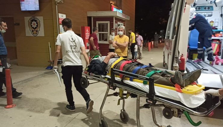 Motosiklet domuz sürüsüne daldı