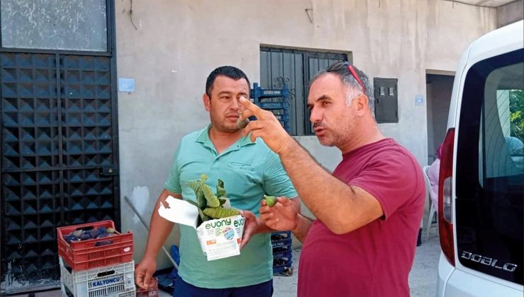 Mudanya Tarım Müdürlüğü, çiftçilere zararlılarla mücadeleyi anlattı