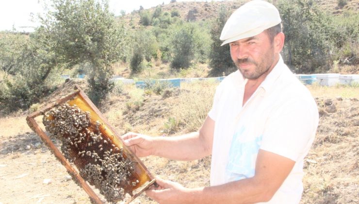 Muğla yangınının ateşi Afyonkarahisar’daki arıcıları da sardı