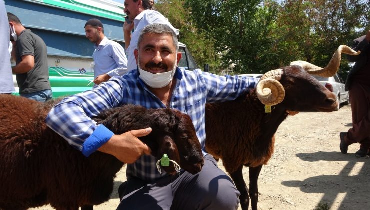 Muş’ta çiftçilere devlet destekli koç dağıtımı yapıldı