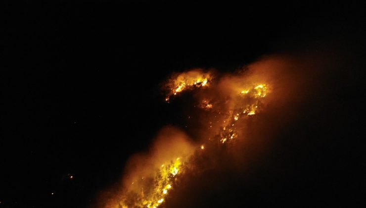 Muş’ta örtü yangını