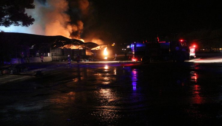 Mut Sebze halindeki yangın korku dolu anlar yaşattı