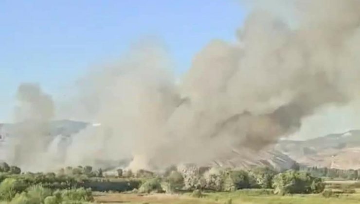 Nallıhan Kuş Cenneti’nde yangın