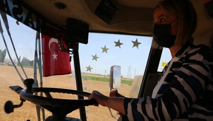 Nevşehir Valisi Becel, biçerdövere binerek hasat yaptı