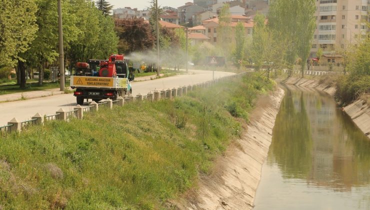 Odunpazarı’nda ilaçlama çalışmaları devam ediyor