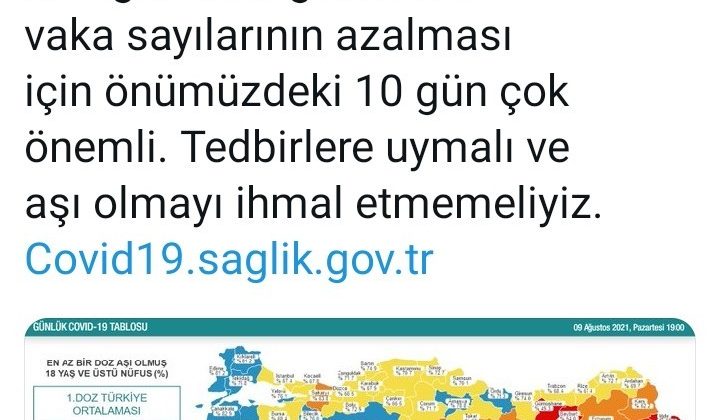 Ordu aşı haritasında maviye döndü