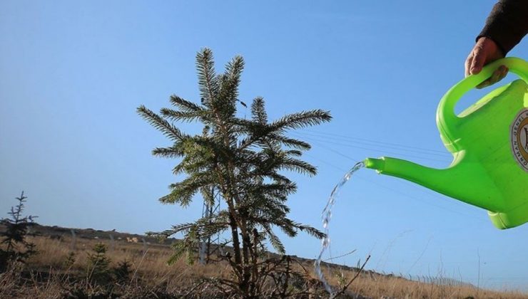 Orman Genel Müdürü Karacabey yangınlara ilişkin açıklamada bulundu