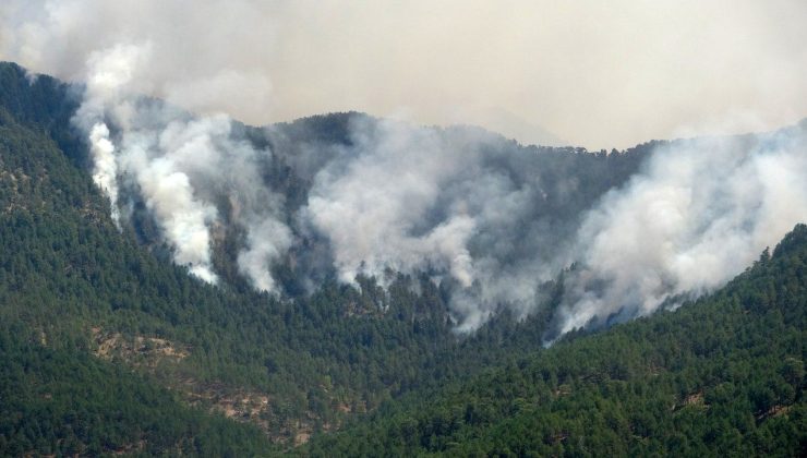 Yangınlar bölgedeki yılkı atlarını da tehdit ediyor