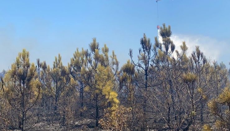 Orman yangının sebebi ATV aracı