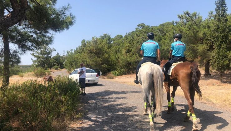 Orman yangınlarına karşı atlı jandarmalar iş başında